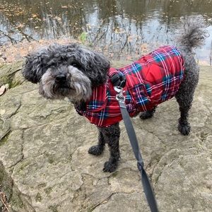 Meet your Posher, Jean